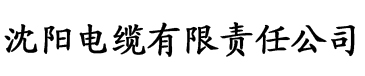 www.91香蕉视频.com电缆厂logo